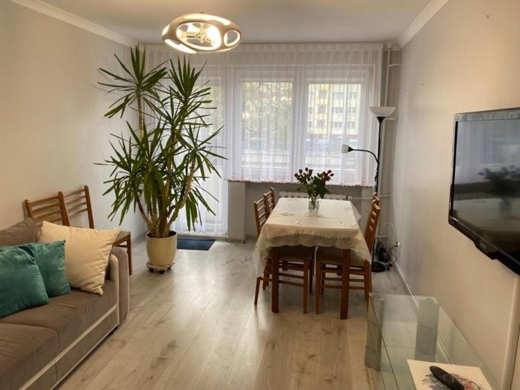Apartament Przy Katedrze Gorzów Wielkopolski Exterior foto